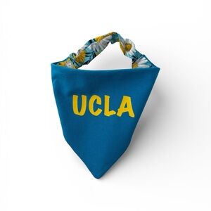UCLA Puppy Scrunchie Bandana
